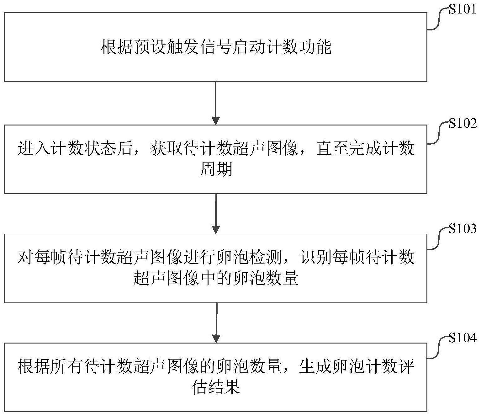 一种卵泡计数方法、装置、超声医疗设备及可读存储介质与流程