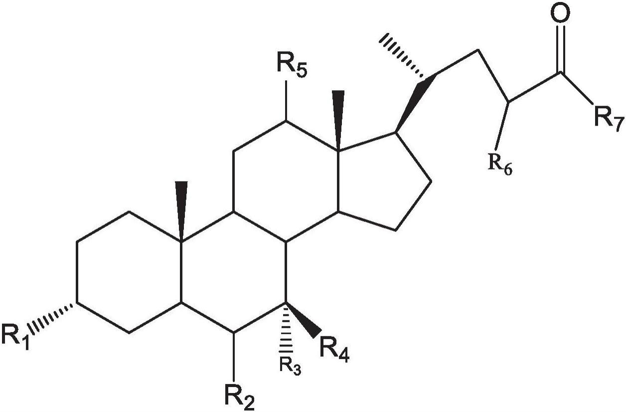 胆汁酸衍生物及其组合物和应用的制作方法
