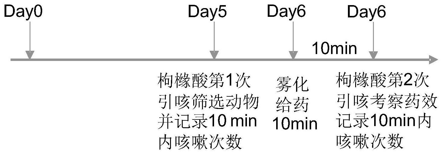 一种新型薄荷脑桉树油镇咳喷雾剂及其应用的制作方法