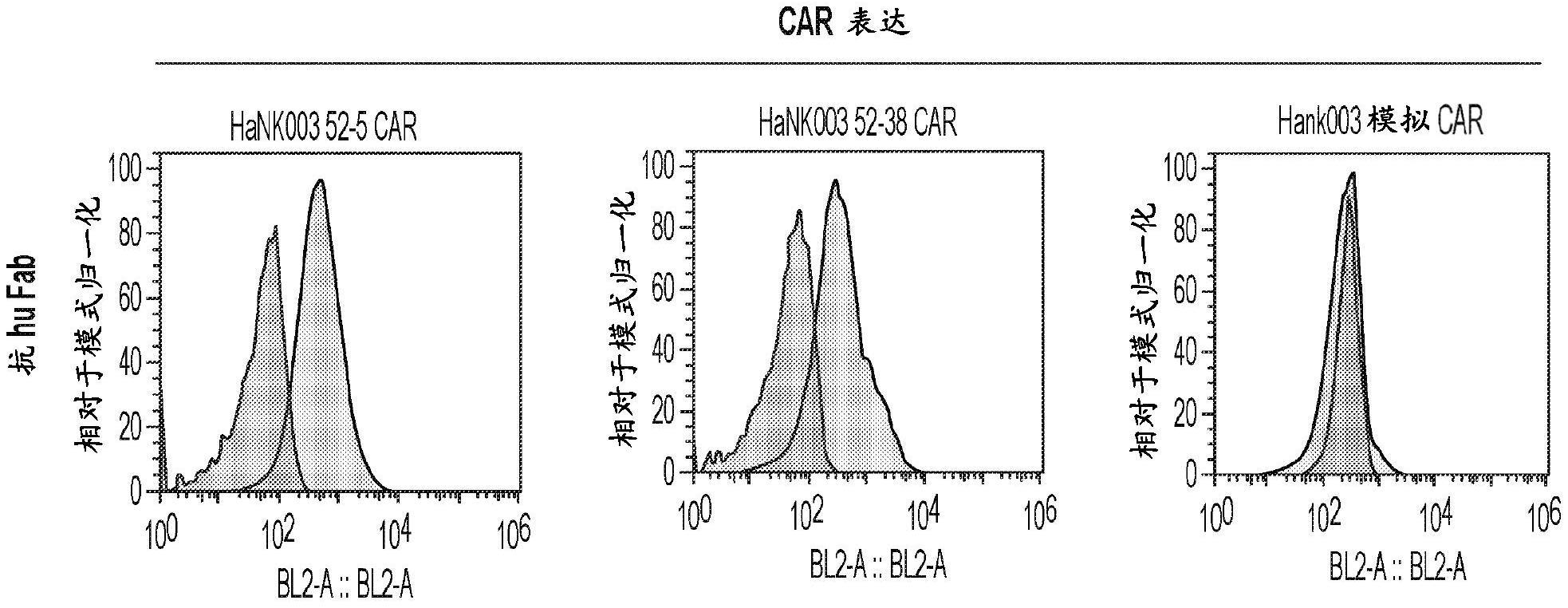 抗CD30单克隆抗体和嵌合抗原受体的制作方法