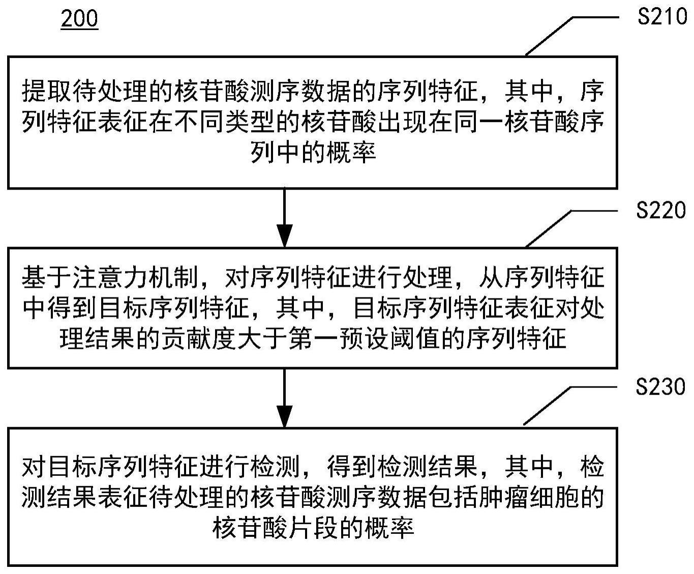 核苷酸测序数据的检测方法、模型训练方法及装置