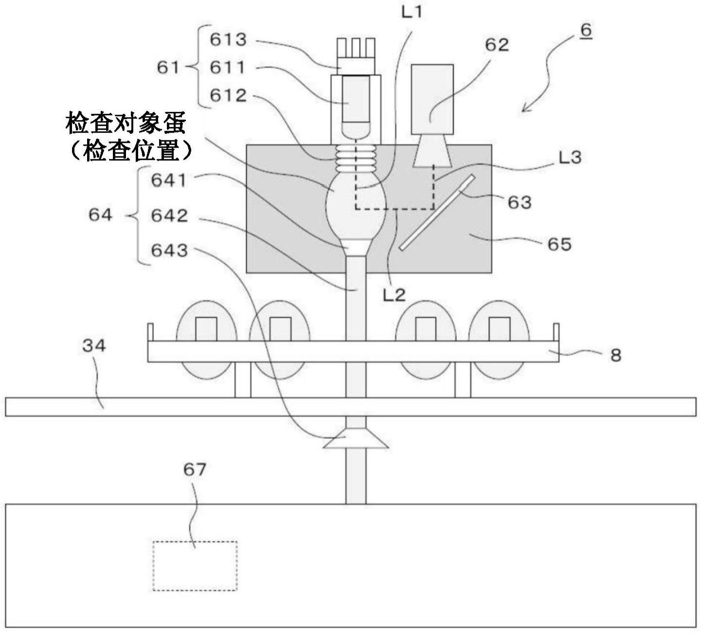 验蛋装置的制作方法