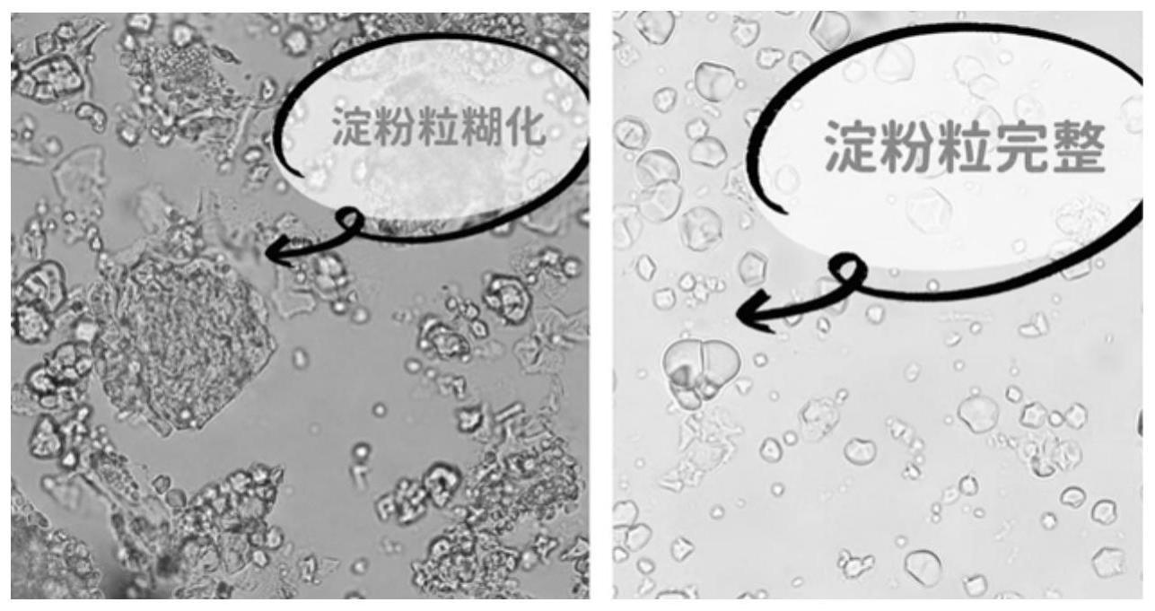 一种三七饮片及其炮制方法和制备工艺与流程