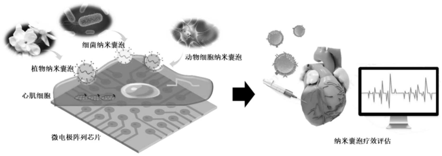 一种用于动态、长期、免标记监测细胞摄取纳米囊泡的系统及方法