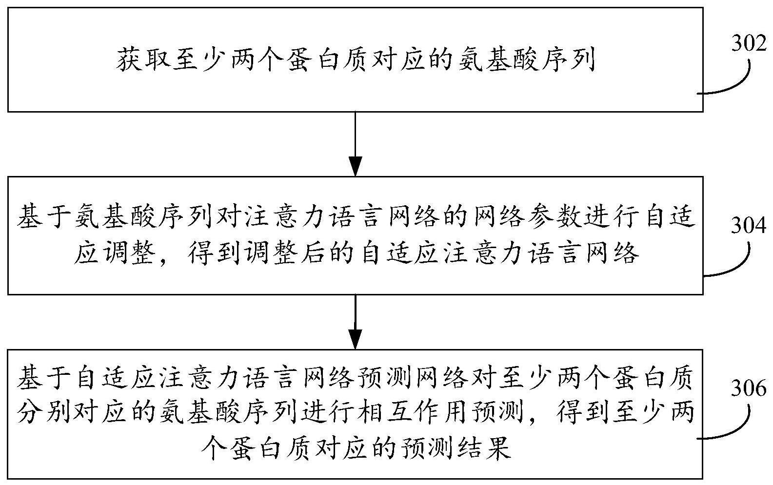 蛋白质相互作用的预测方法、装置、设备、介质及产品与流程