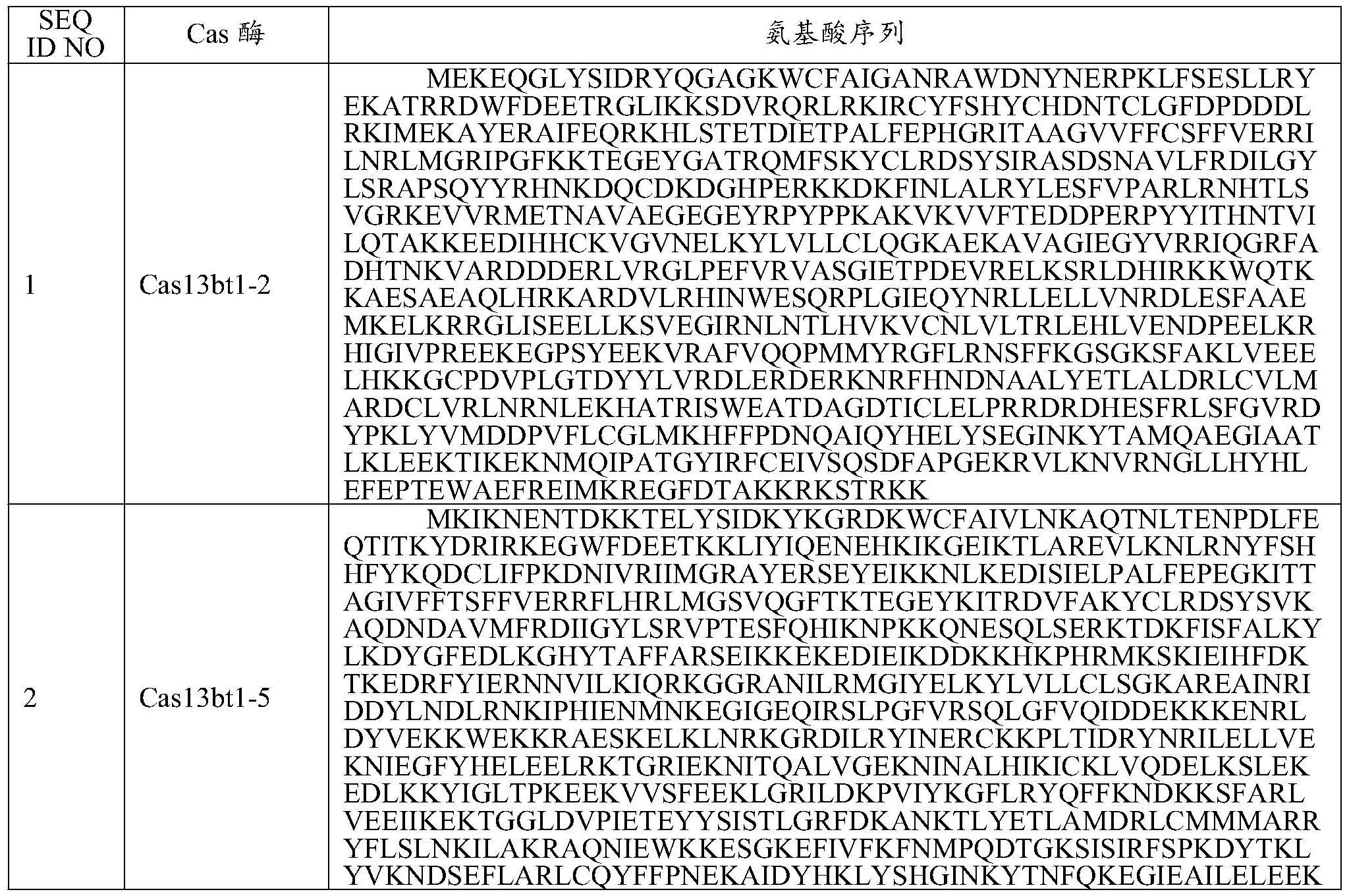 经分离的Cas13蛋白、基于它的基因编辑系统及其用途的制作方法