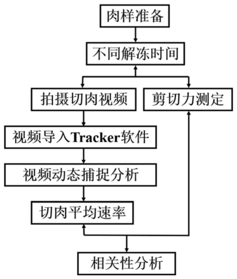 一种解冻鸡胸肉易切性分析方法、装置、介质及设备