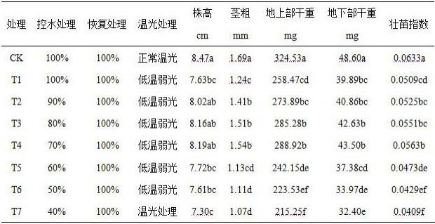 一种克服辣椒种苗低温弱光胁迫的方法与流程