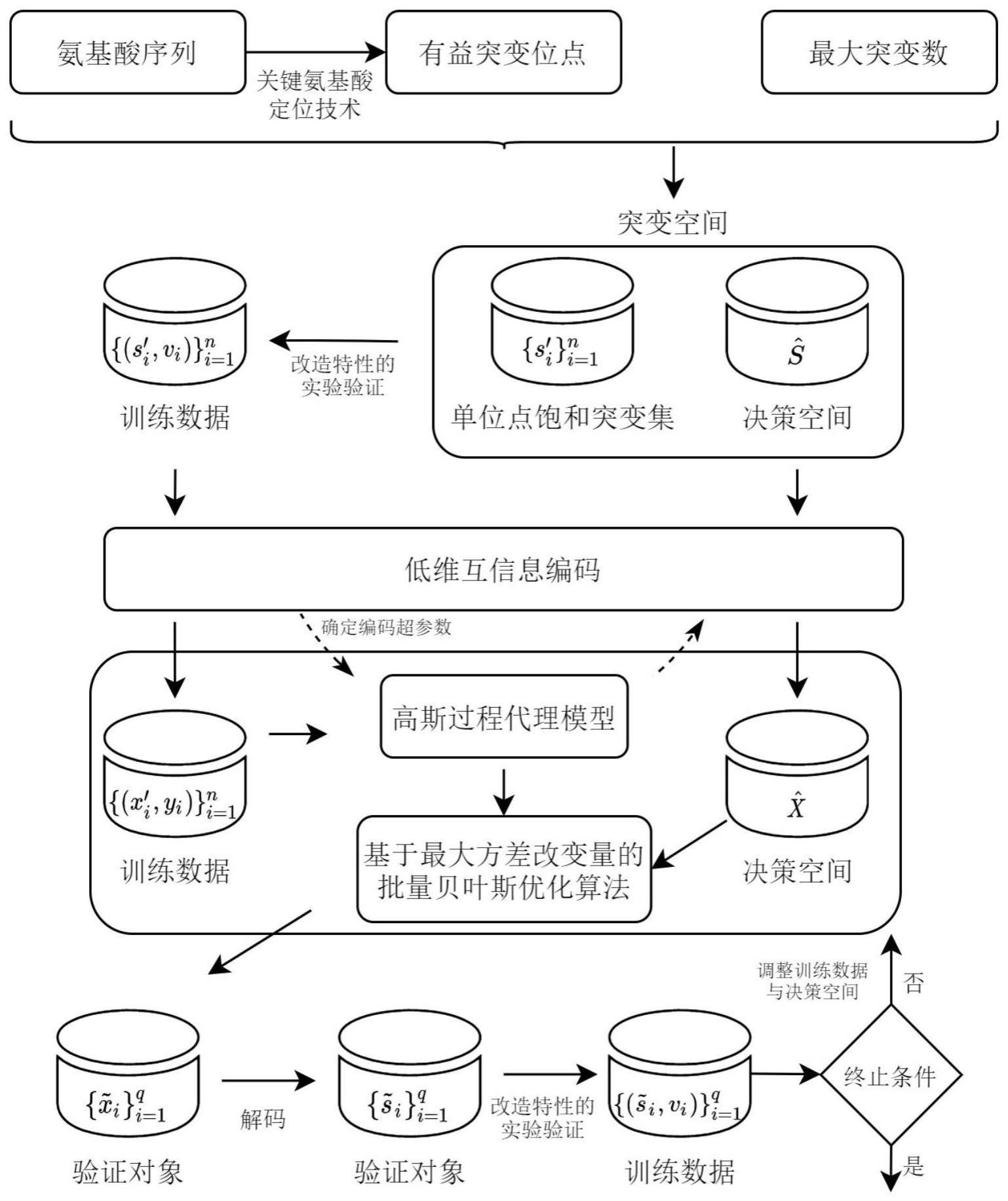 一种基于数据驱动优化的酶改造方法