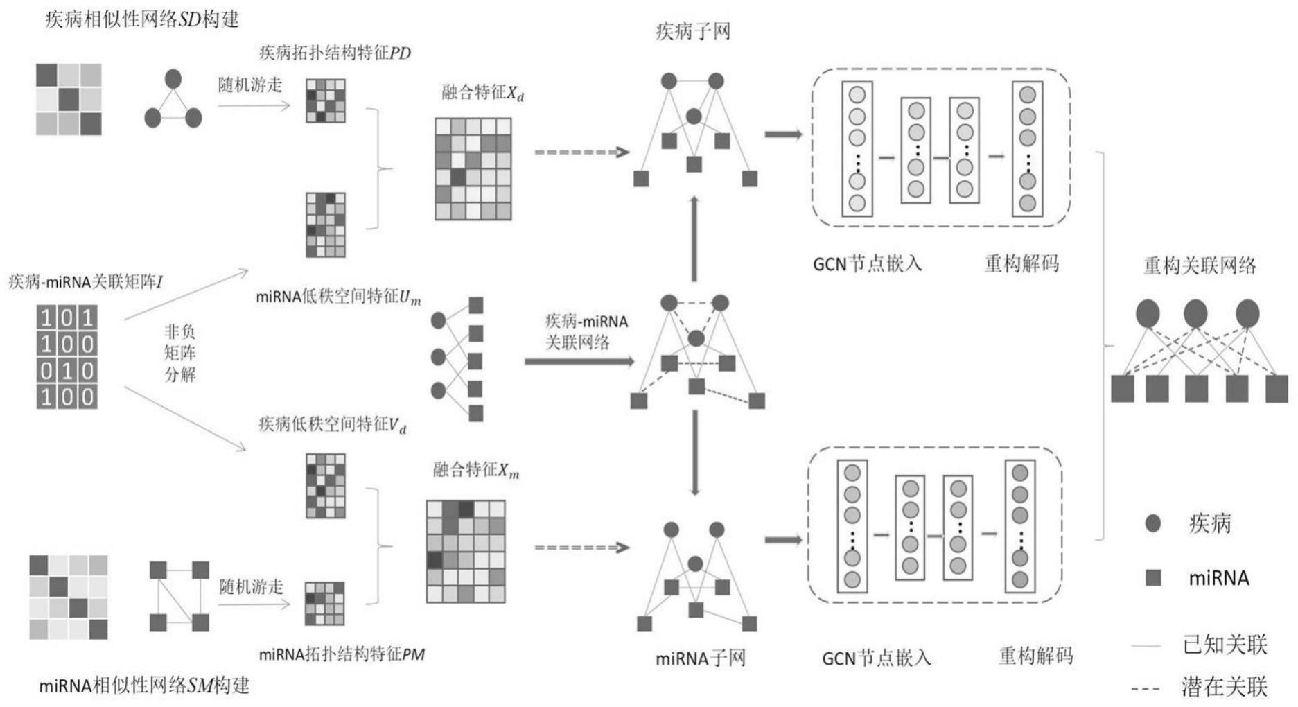 基于异构子网融合多源特征miRNA疾病关联预测方法