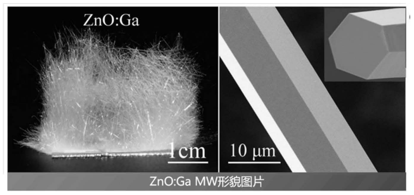 一种基于镓掺杂氧化锌微米线近带发射增强及调控的方法