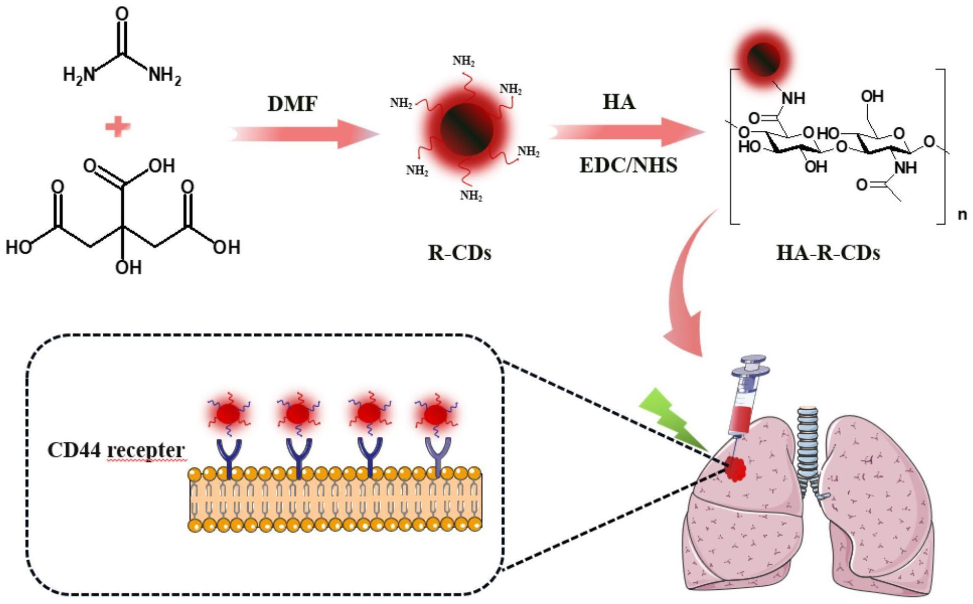 一种透明质酸修饰红光碳点HA-R-CDs的制备方法及其在肺癌细胞靶向成像中的应用