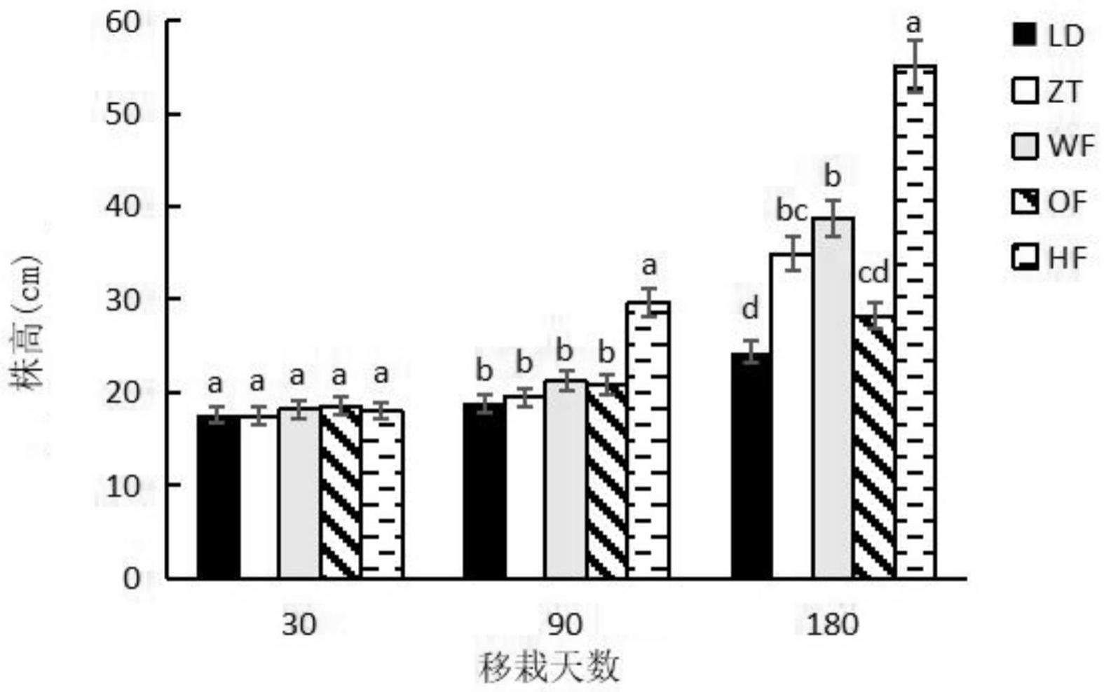 一种广藿香连作种植方法