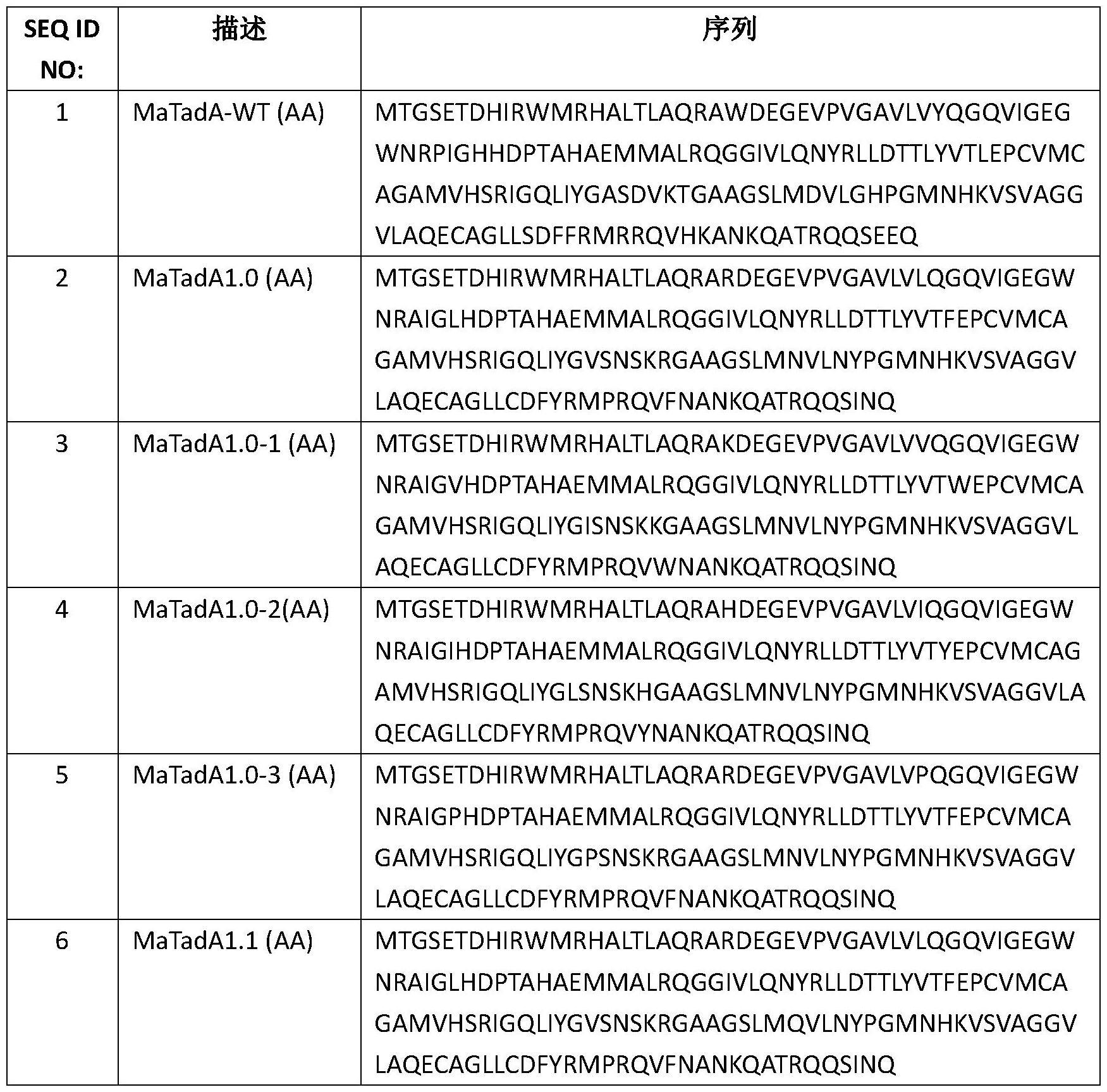 工程化的腺苷脱氨酶及碱基编辑器的制作方法