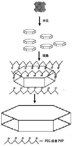 一种以高活性轻烧氧化镁一步水热法制备高分散型六方片状氢氧化镁的方法与流程