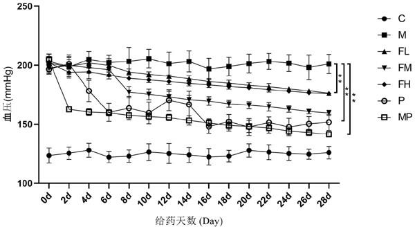 刺五加果实及其提取物在制备治疗自发性高血压药物中的应用的制作方法