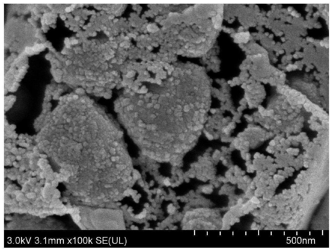 一种碳基材料及其制备方法和应用、含铀废水净化方法