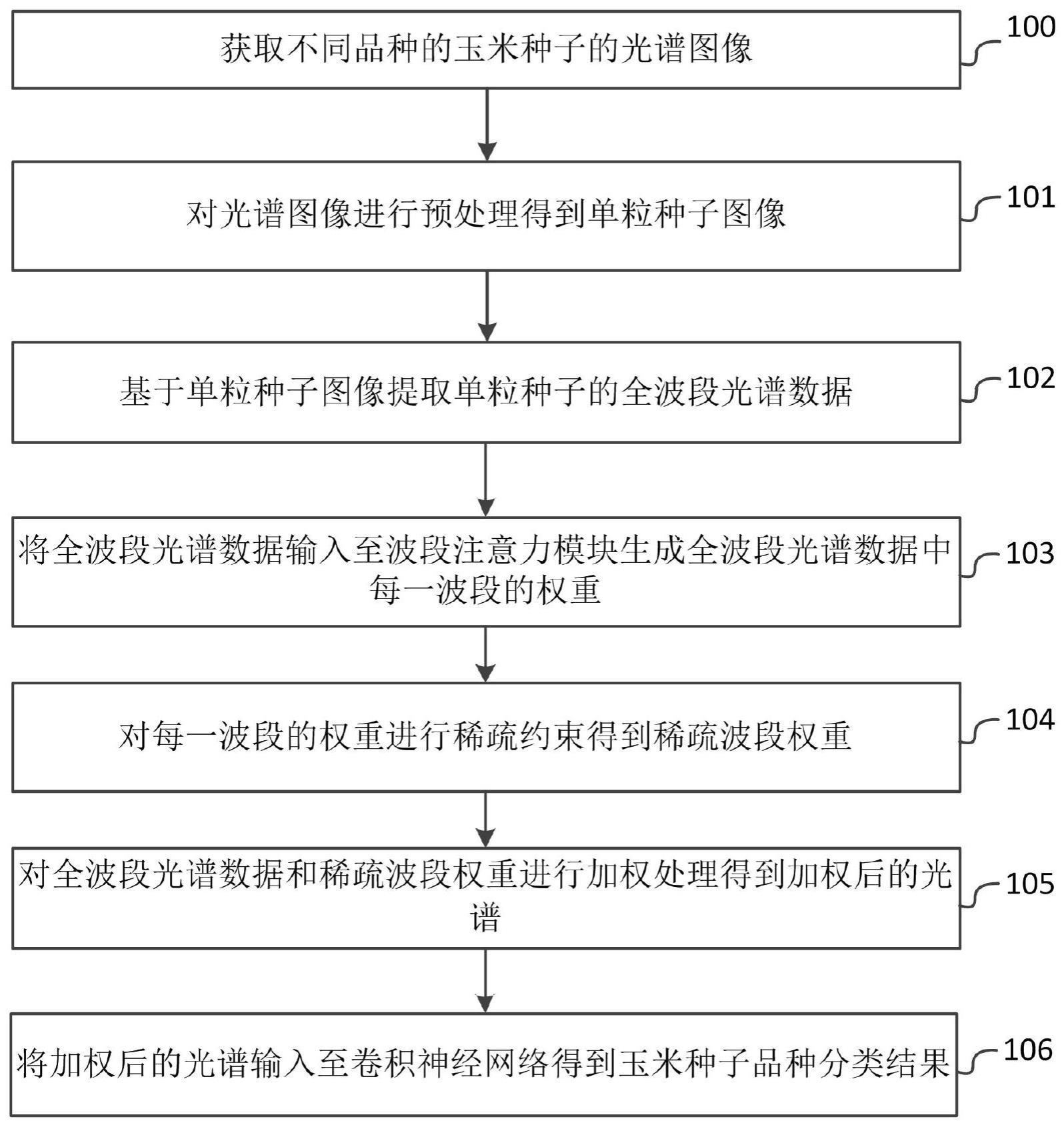 一种玉米种子品种分类方法、系统及电子设备