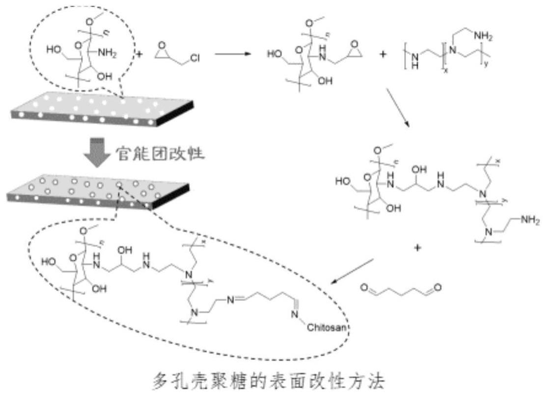 一种富含席夫碱官能团的多孔壳聚糖薄膜及其制备方法和应用