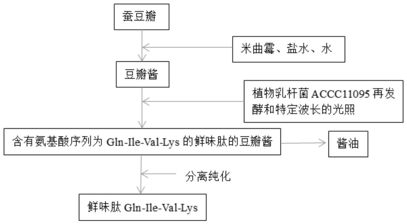 一种鲜味肽及其用途、含有该鲜味肽的酱油