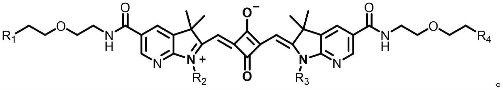 一类水溶性方酸菁染料及其合成方法和应用