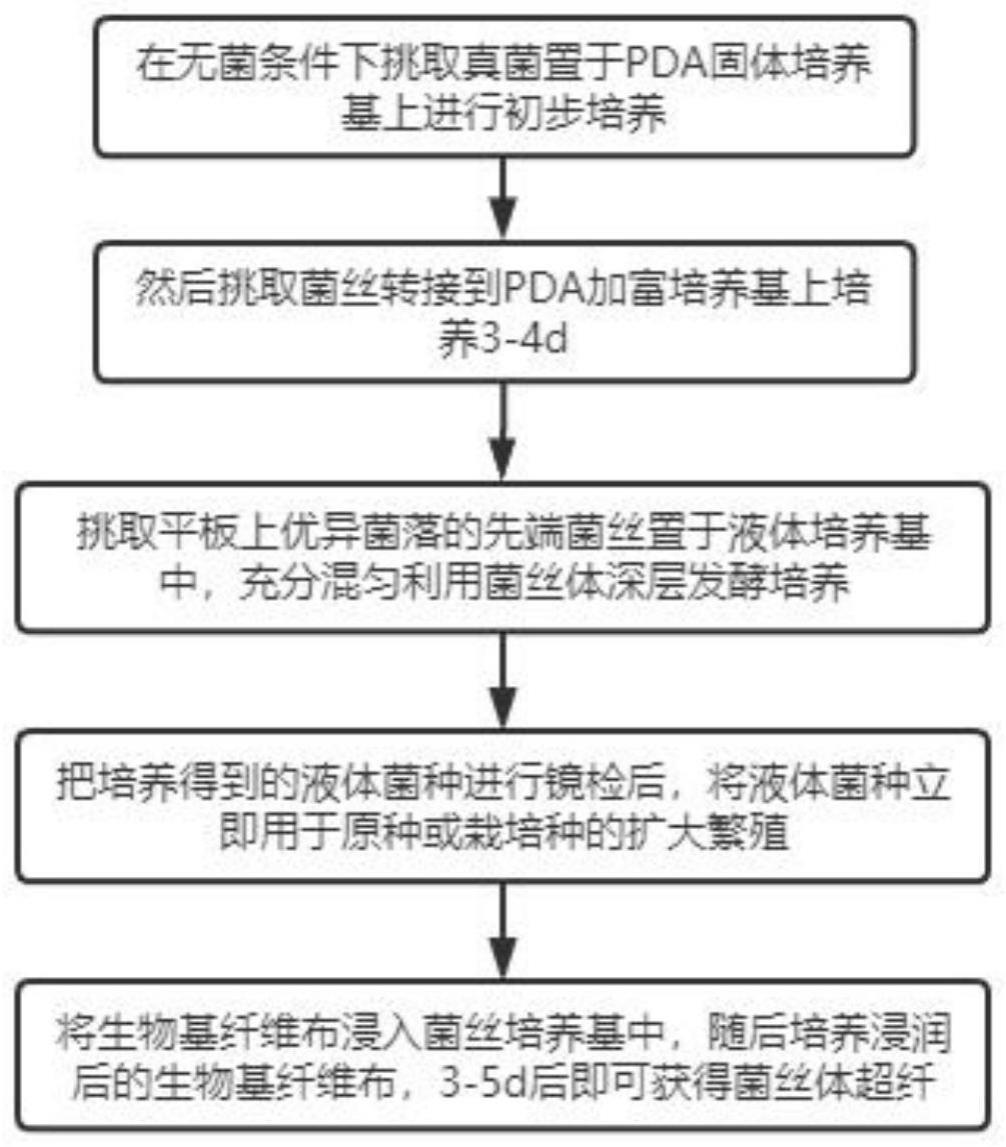 一种基于真菌菌丝体的超细纤维的制作方法