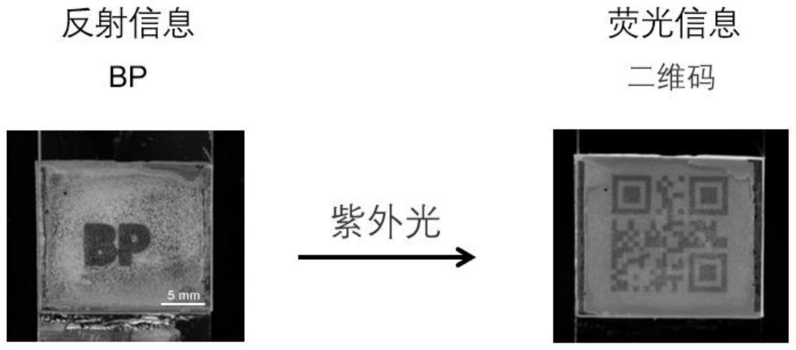 一种防伪聚合物薄膜的制备方法及其应用