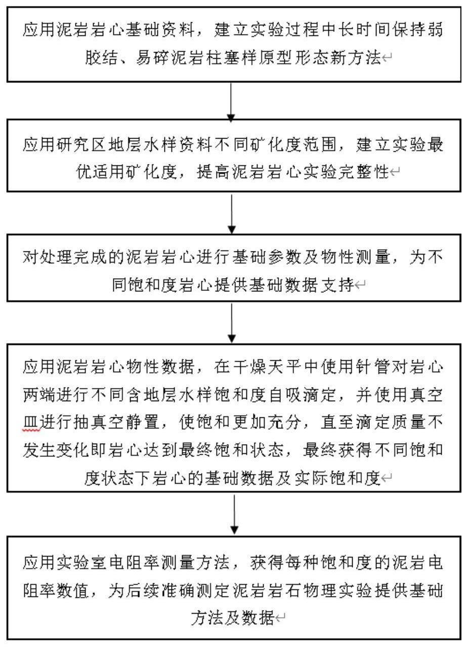 一种针对弱胶结、易碎易水解泥岩电阻率测量方法与流程