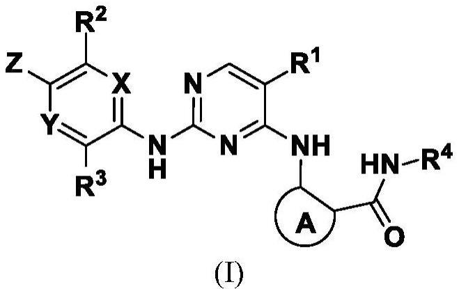 作为NUAK激酶的抑制剂的噻吩基和环烷基氨基嘧啶化合物、其组合物和用途