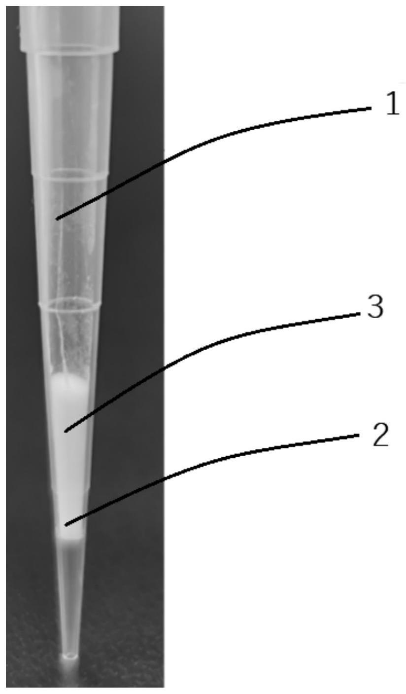 一种MHC-peptide复合物分离方法及应用与流程