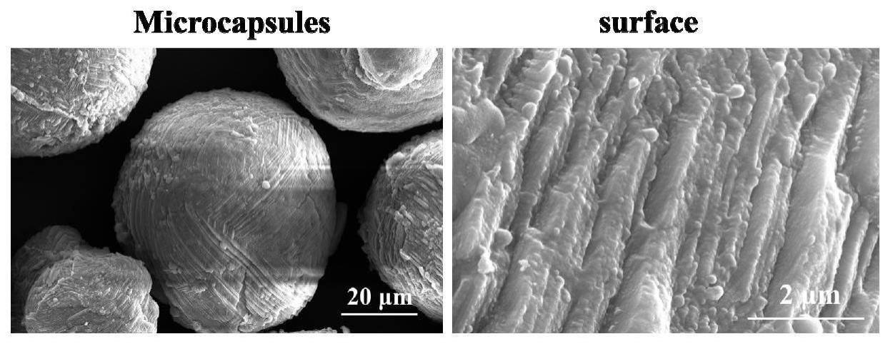 一种具有仿贝壳结构壳层的储热微胶囊及其制备方法与流程