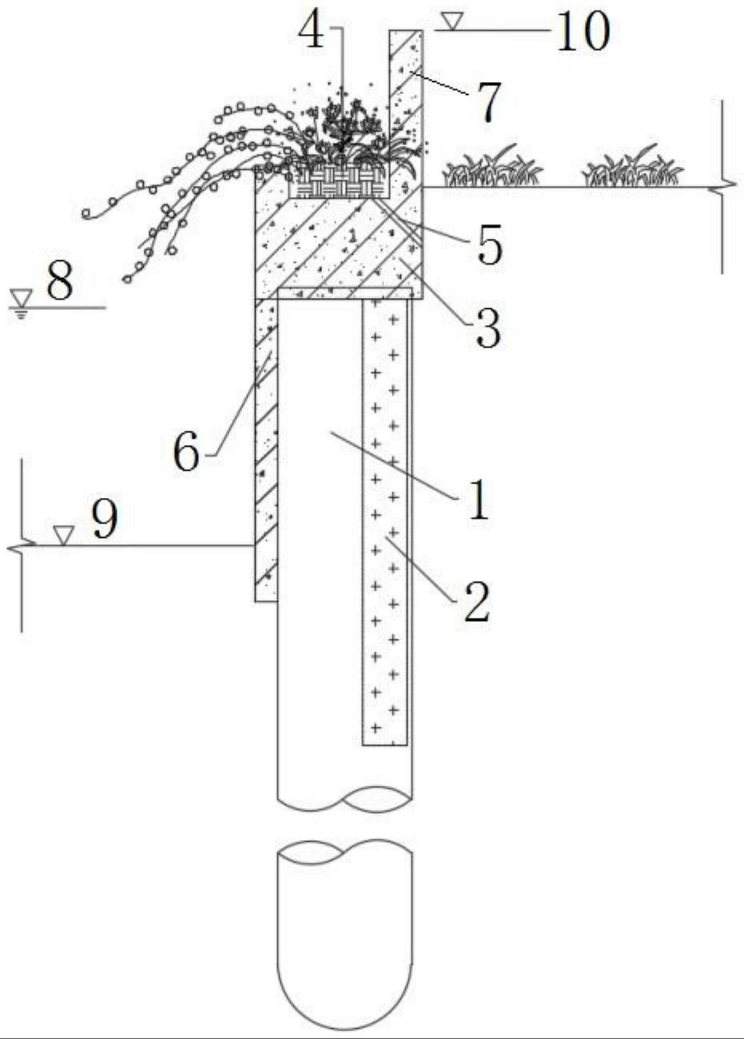 一种桩式护岸结构和河岸的制作方法