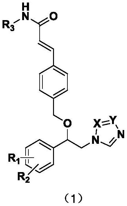 含唑类结构的丙烯酰胺类化合物及其制备方法及应用
