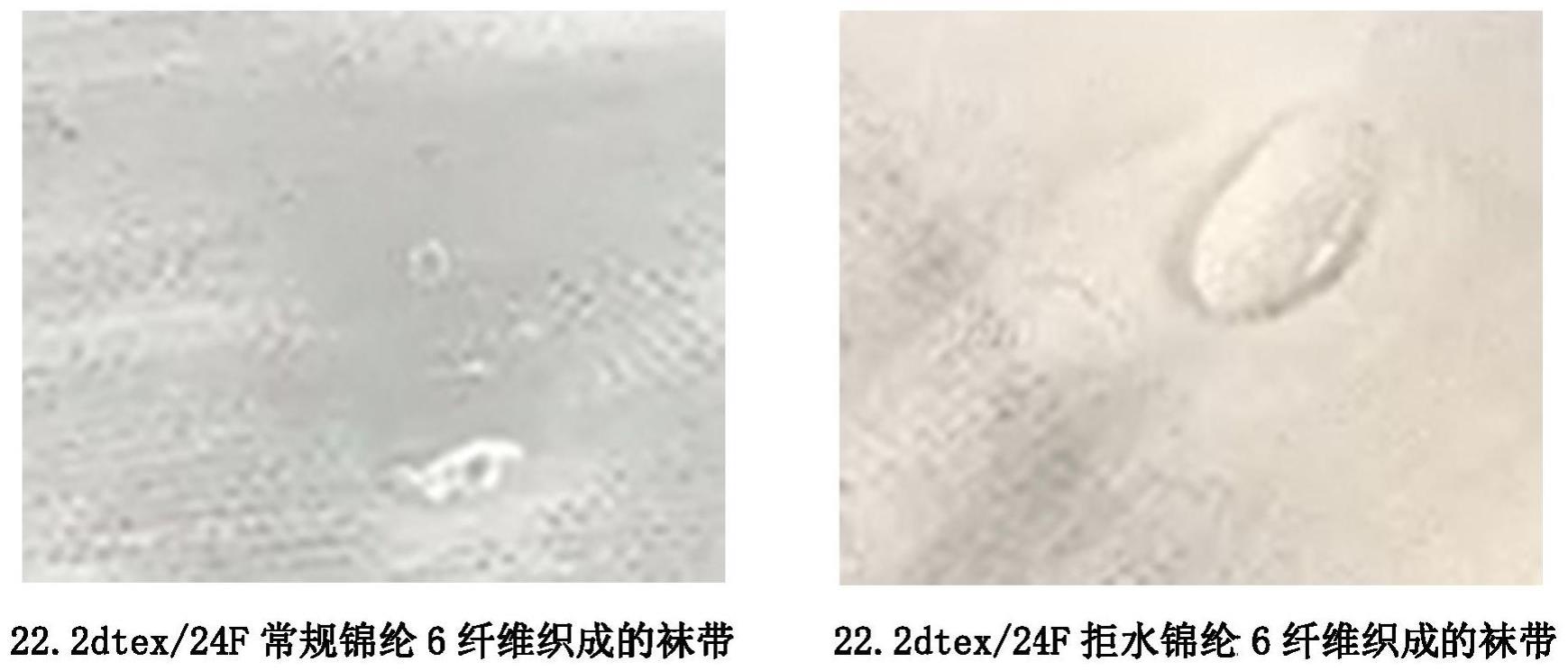 一种拒水锦纶6母粒及纤维的制备方法与流程