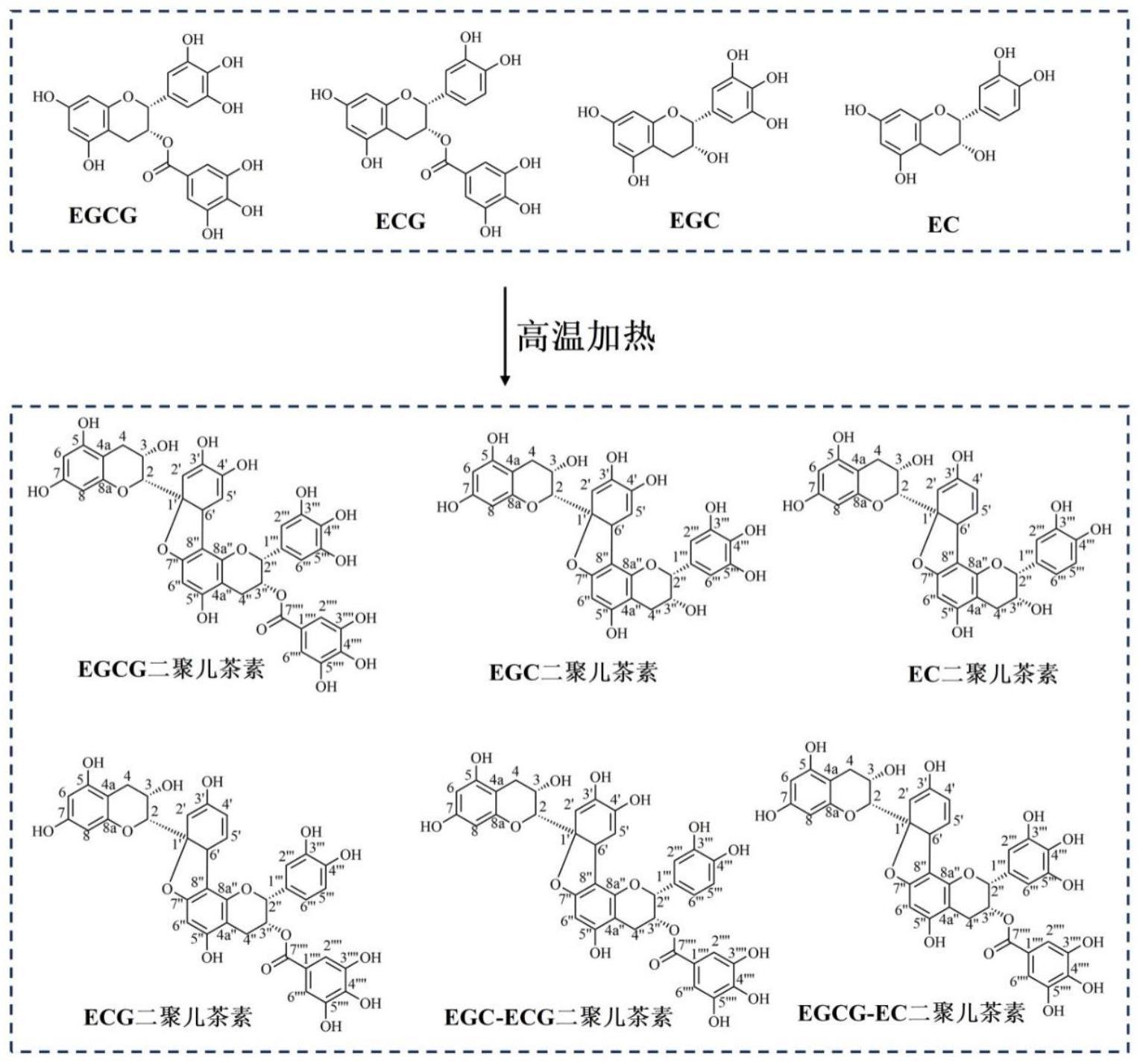 一种天然二聚儿茶素色素及其制备方法和应用