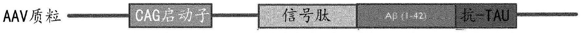 用于治疗神经退行性疾病的基因治疗的制作方法