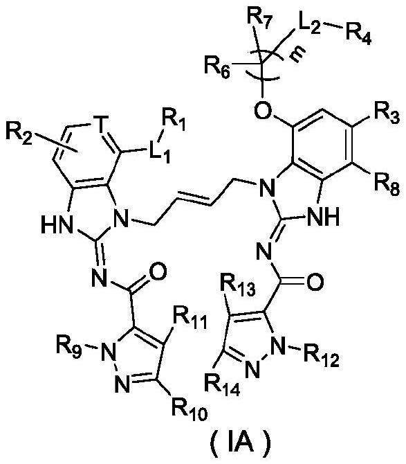 杂环酰胺类化合物及其制备方法和应用与流程