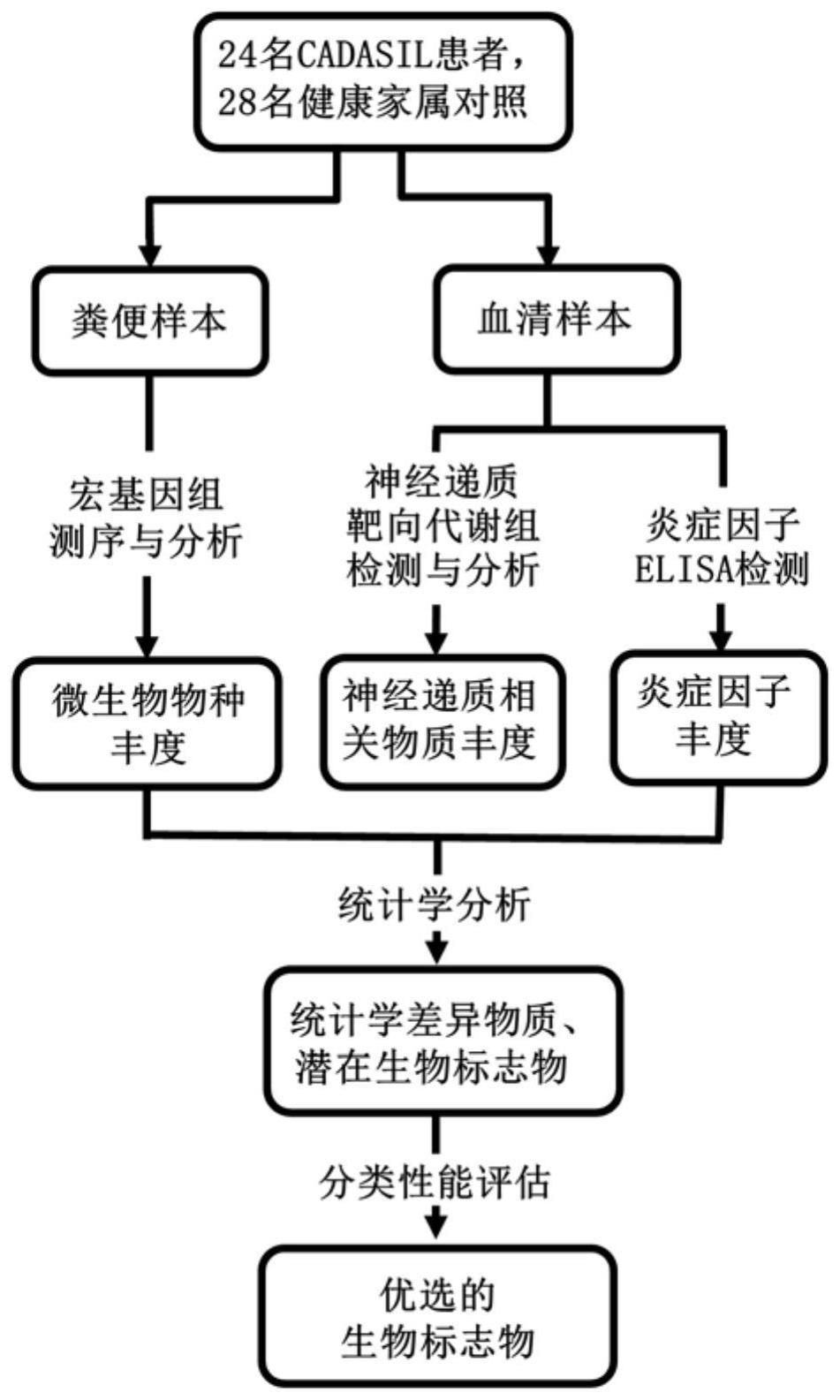 一种用于诊疗CADASIL的生物标志物及应用