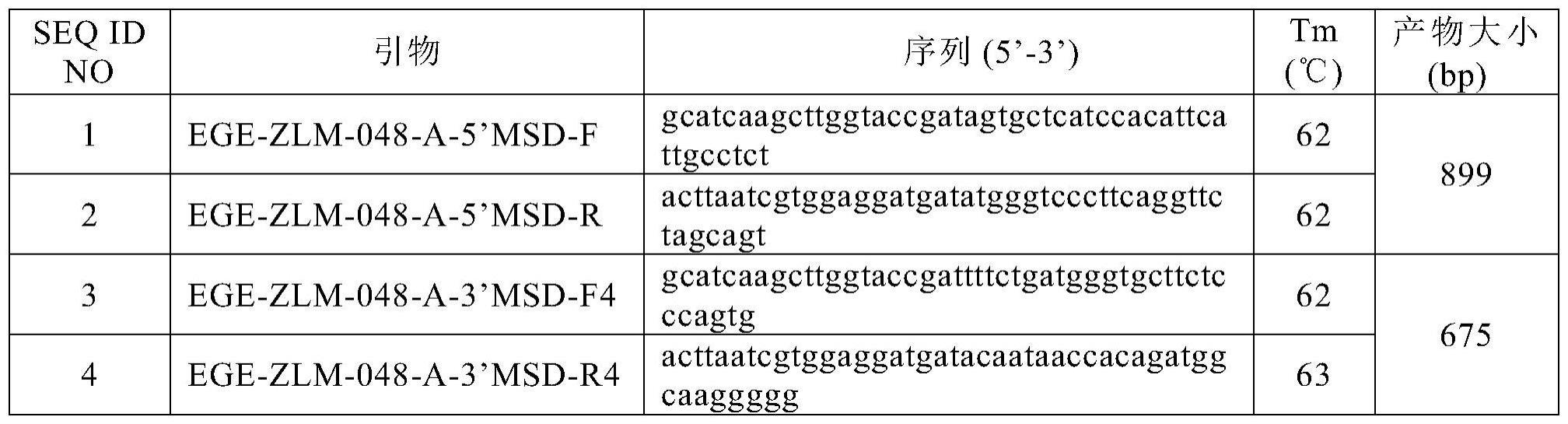 猫叫综合征基因敲除非人动物模型的构建方法及应用