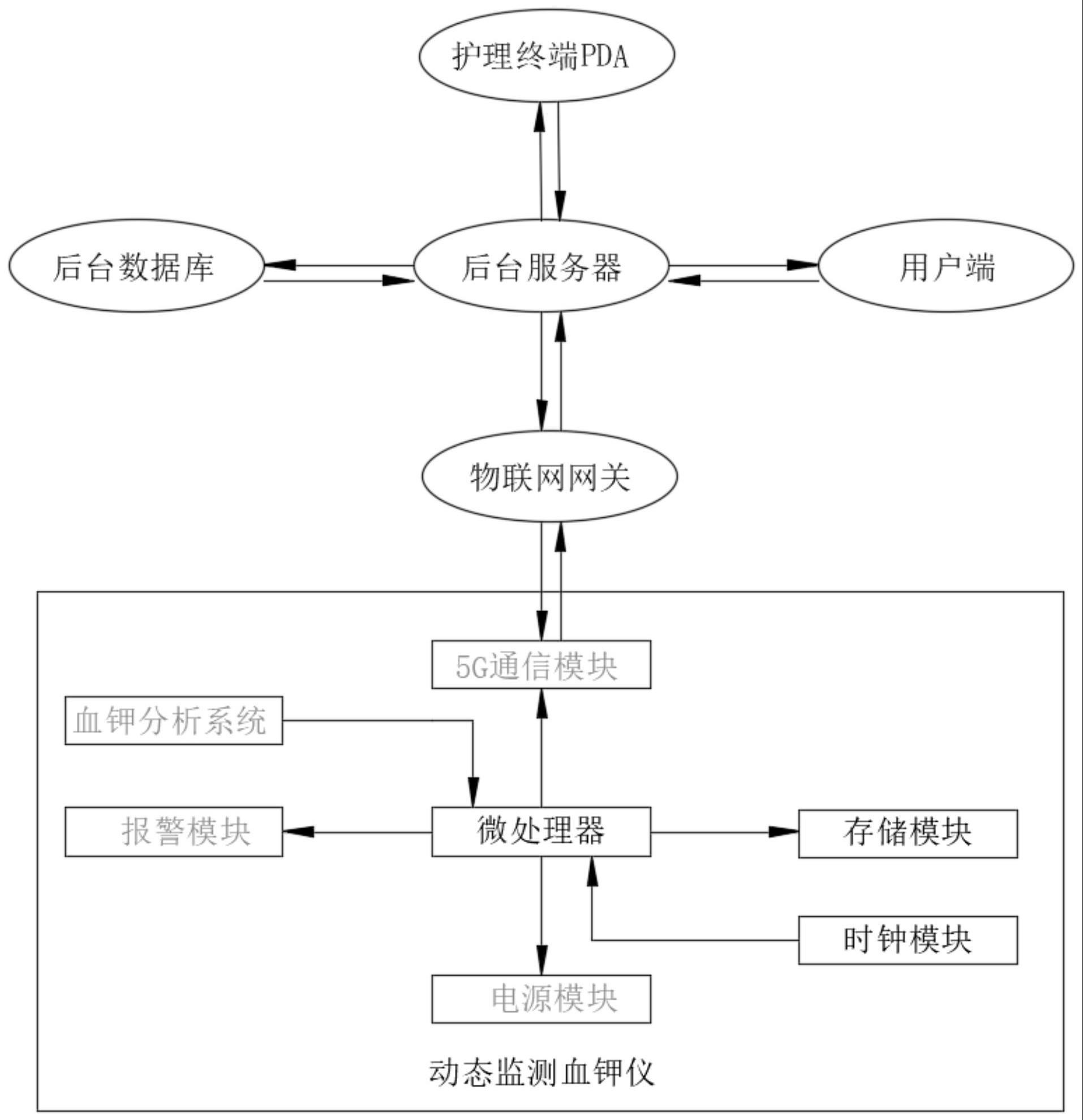 动态监测血钾仪、系统及其应用方法