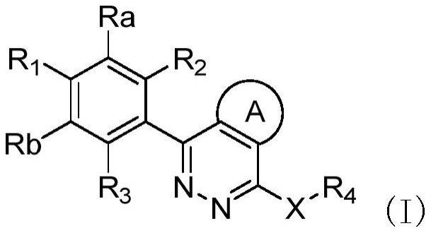 稠合哒嗪衍生物及其制备方法与医药用途与流程