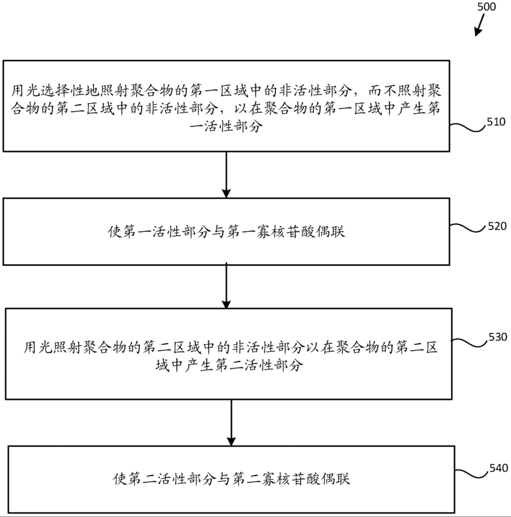 聚合物、制备聚合物的方法以及使寡核苷酸与聚合物偶联的方法与流程