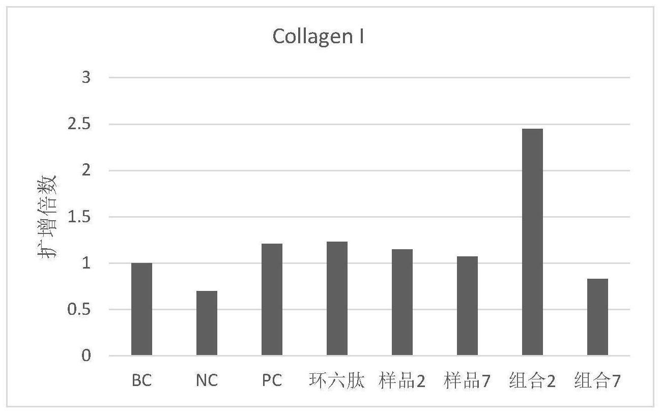 一种具有多重功效的丝状酵母样真菌发酵产物组合物及其应用的制作方法