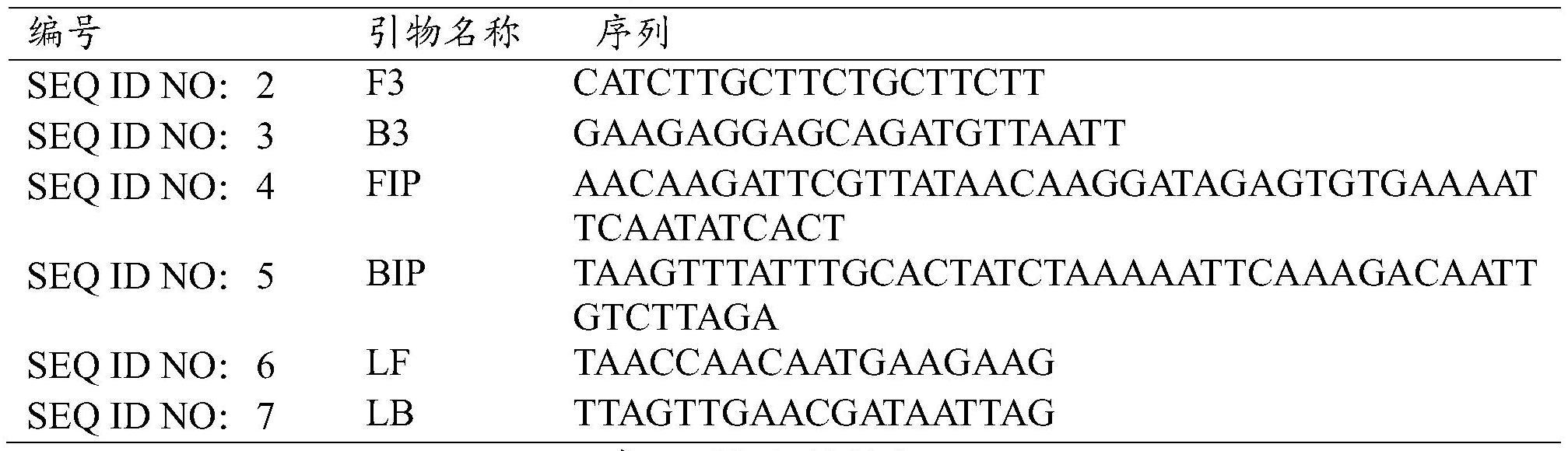 检测猫支原体的环介导等温扩增引物组及试剂盒的制作方法