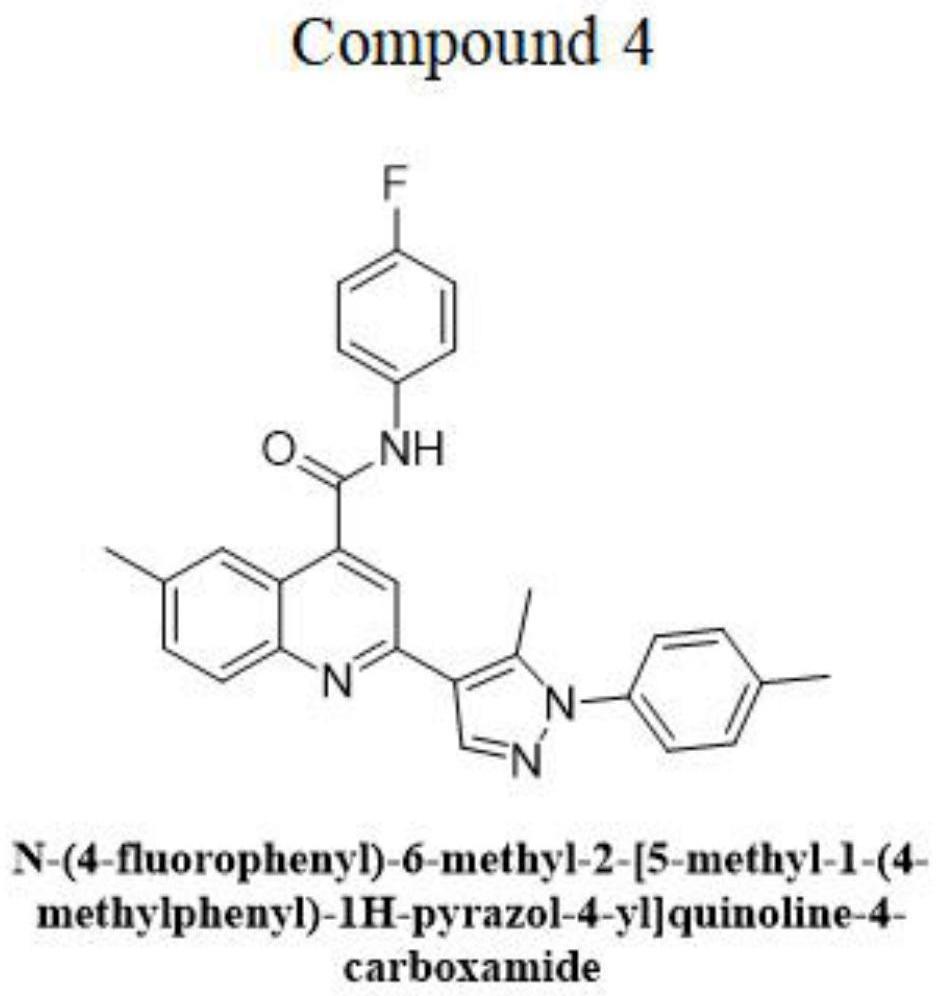 一种TEAD小分子抑制剂及在TEAD受体相关癌症药物中的用途的制作方法