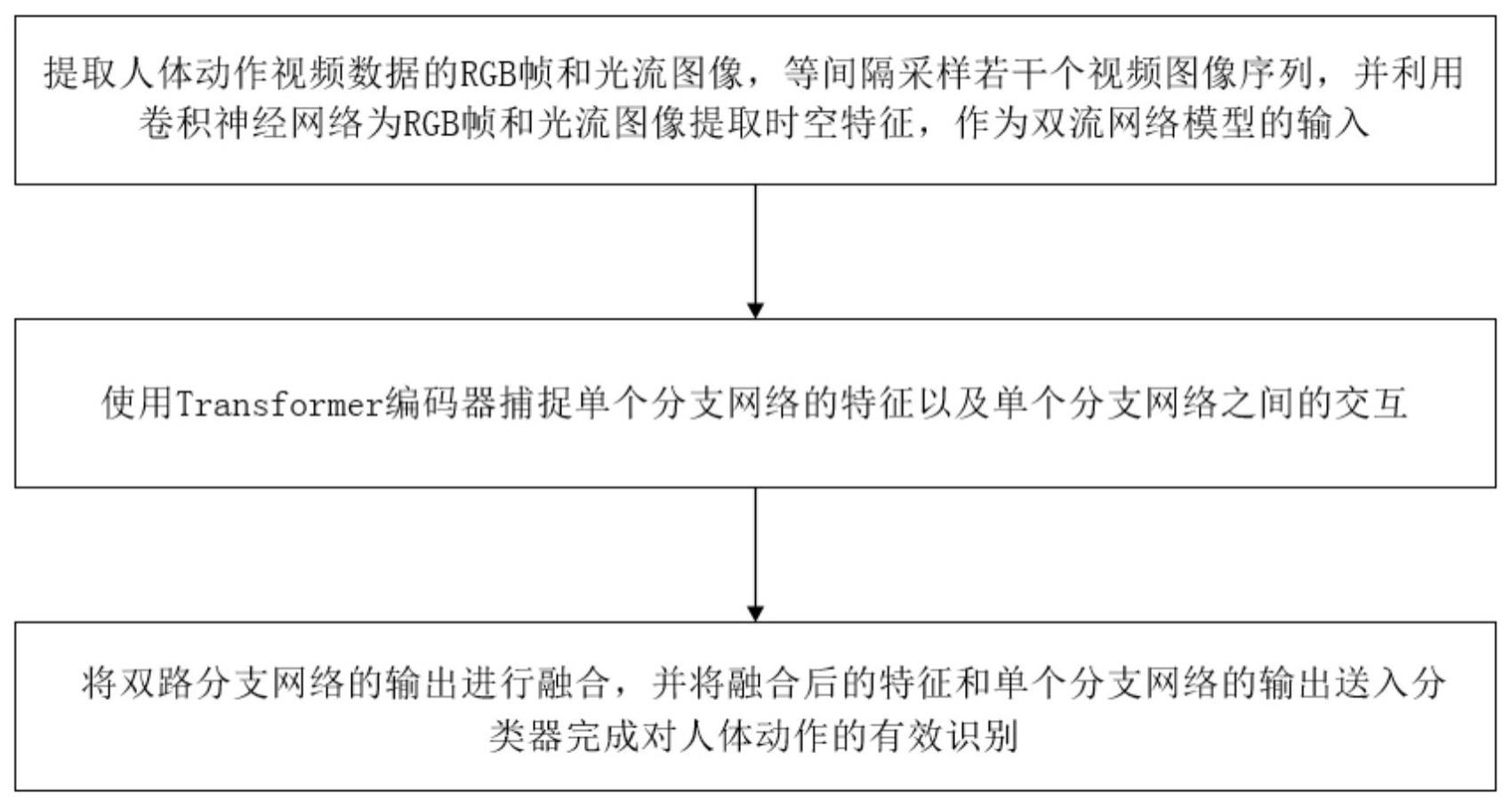 基于Transformer双流融合网络的多模态人体动作识别方法及装置与流程