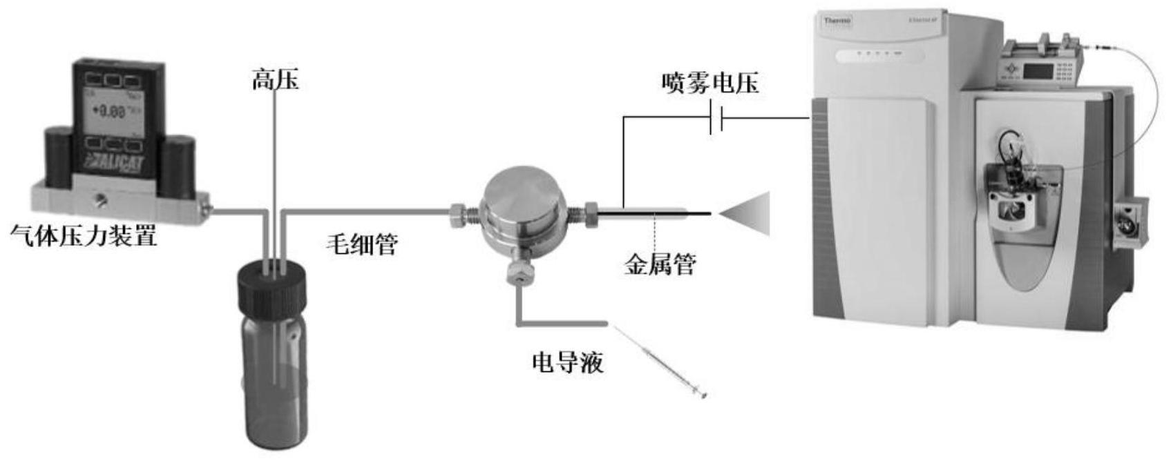 一种基于毛细管等速电泳的蛋白质浓缩及分离鉴定方法