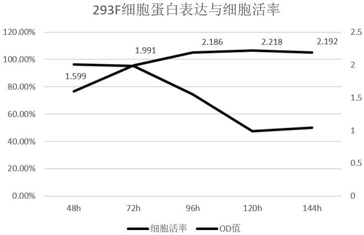 产生抗B7H3单克隆抗体的杂交瘤细胞株及其应用的制作方法