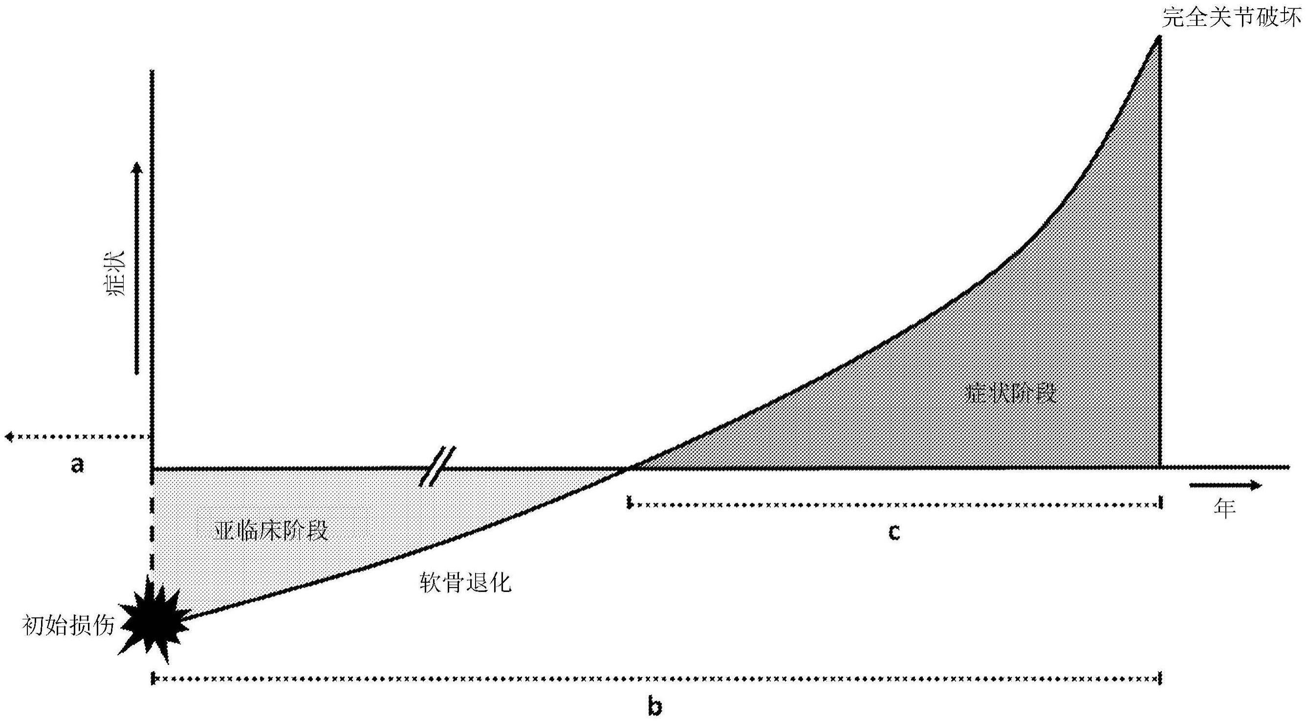 可注射缓冲水凝胶