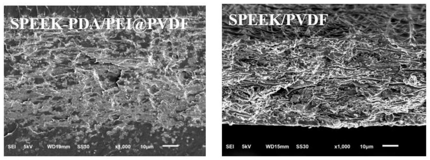 一种基于SPEEK填充表面改性纳米纤维的复合质子交换膜的制备方法